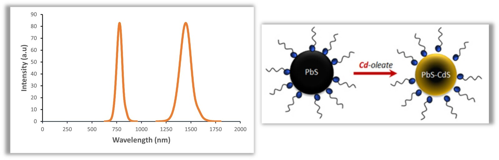 PbS/CdS Quantum Dots